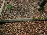 image of grave number 933511